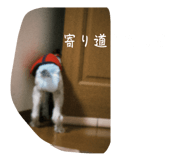 843477685