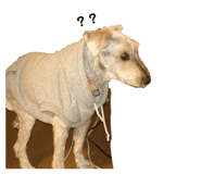 843477693