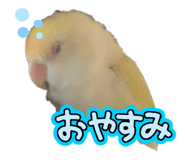 843477882