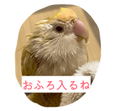 843477883