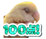 843477888