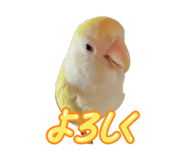 843477889