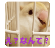 843477893