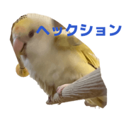 843477896