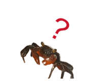 843478361