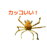 843478364