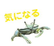 843478365