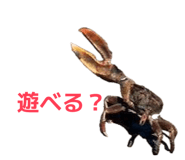 843478367