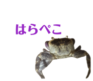 843478368