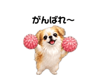 843478568