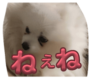 843478782