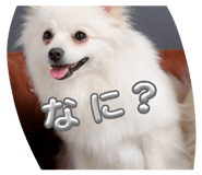 843478783