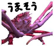 843478887