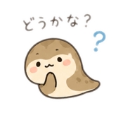 843479107