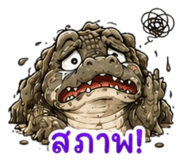 843479621