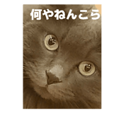 843479729
