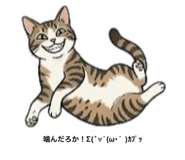 843479851