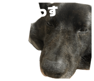 843480353