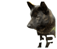 843480354