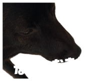 843480355