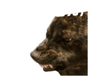 843480359