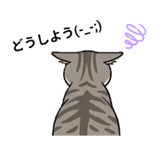 843480406