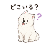 843480417