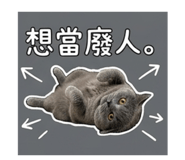 843480471