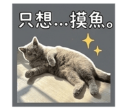 843480477