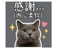 843480485