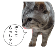 843480598