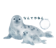 843480752