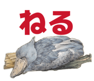 843480805