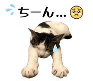 843480940