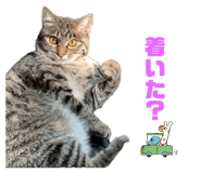 843480949