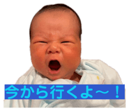 843481412