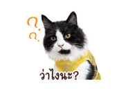 843496347