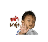 843496525