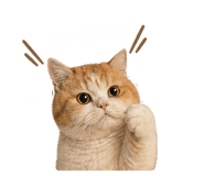 843496527