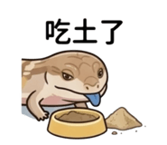843498081