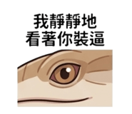843498084