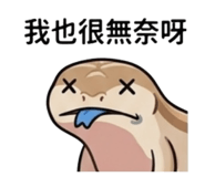 843498087