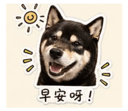 843498353