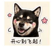 843498354