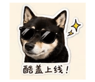 843498355