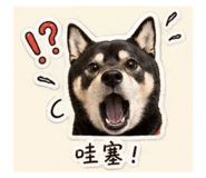 843498357