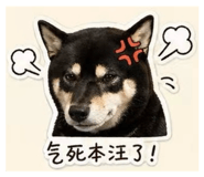 843498360