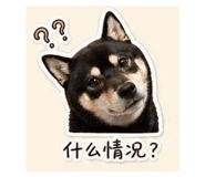 843498366