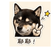 843498368