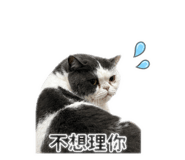 843498399